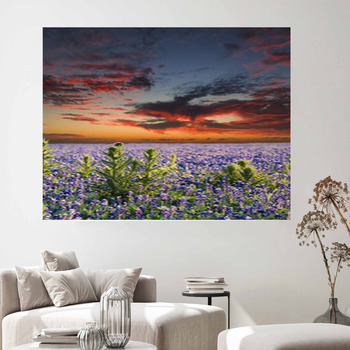 Texas Wall Decor | Murals | Tapestry | Posters | Custom Sizes