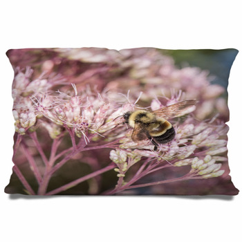 Bee Pillow / Honey Bee Decor / Daisy Pillow / Bee Cushion