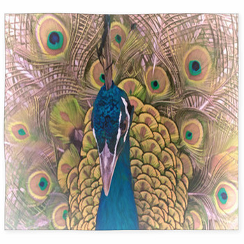 https://www.visionbedding.com/images/theme/bright-background-with-a-portrait-of-a-peacock-on-the-background-of-tail-feathers-custom-size-floor-mat-217994553.jpg