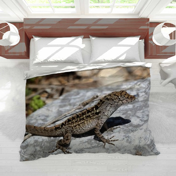 Bedding for outlet lizards