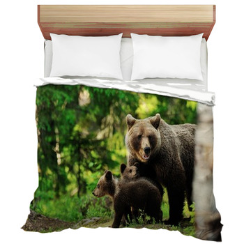 Bear Comforters, Duvets, Sheets & Sets | Custom