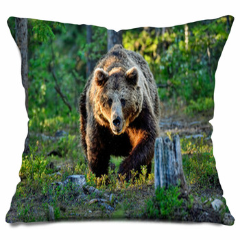 Bear Throw Pillows, Cases