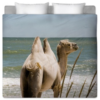 Camels Comforters Duvets Sheets Sets Personalized