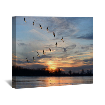 Goose Wall Decor | Murals | Tapestry | Posters | Custom Sizes