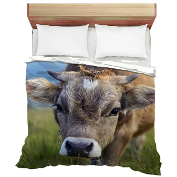 Farm animal Comforters, Duvets, Sheets & Sets | Custom