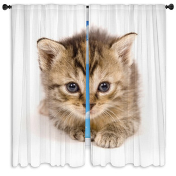 Kitten Drapes & Window Treatments | Black Out | Custom Sizes