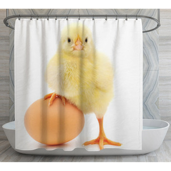 Chicken And Egg Shower Curtain