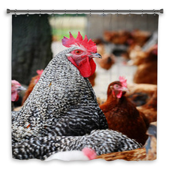 Chickens On Traditional Free Custom Size Shower Curtain