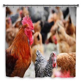 Chickens On Traditional Free Custom Size Shower Curtain