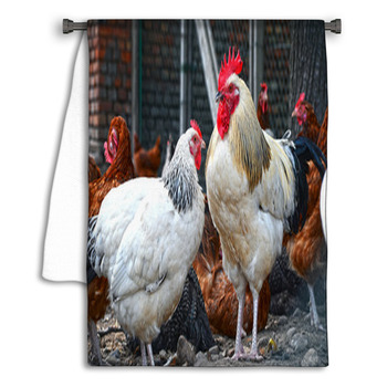 Chickens On Traditional Free Range Poultry Farm Towel