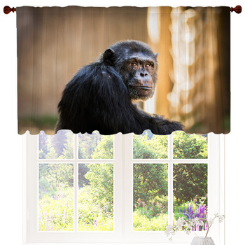 Monkey Window Curtains - Personalized with name - Jungle or Safari Themed Kids or baby offers Bedroom Curtain Panels - Custom Size #405