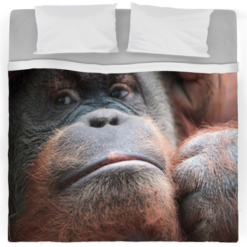 Baby Orangutan In Borneo Duvet Cover by Gethinlane 