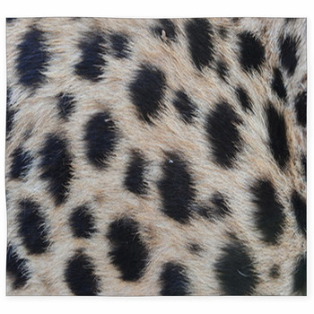 Cheetah Print Area Rugs Custom Size Floor Mats