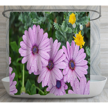 Closeup Of Bright Colorful Daisy Flowers Shower Curtain