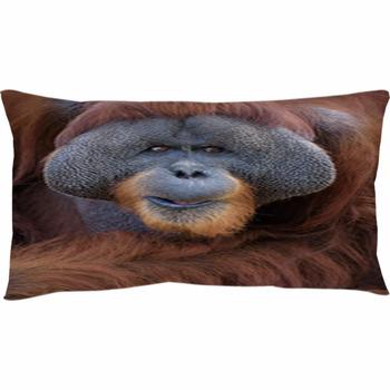 orangutan pillow