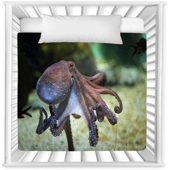 Octopus crib outlet bedding