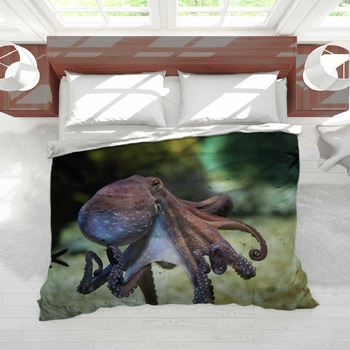 Octopus duvet fashion and matching area rug