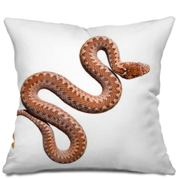 snake lady body pillow