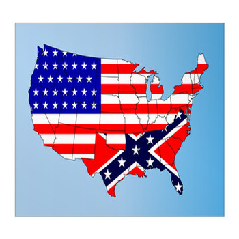 Rebel flag Wall Decor in Canvas, Murals, Tapestries, Posters & More