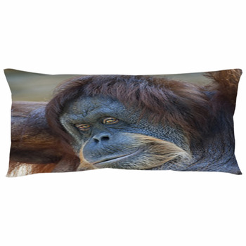 orangutan body pillow