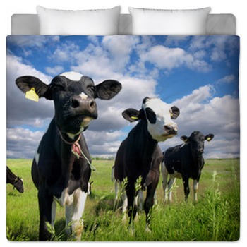 Farm animal Comforters, Duvets, Sheets & Sets | Custom