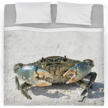 Crab Comforters, Duvets, Sheets & Sets | Custom