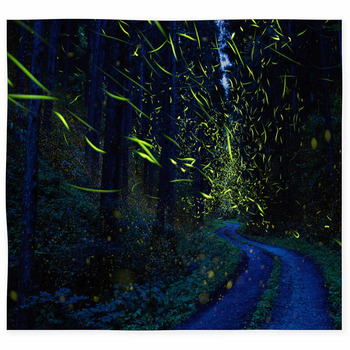 Firefly Area Rugs & Floor Mats