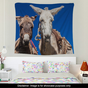 Donkey Wall Decor in Canvas, Murals, Tapestries, Posters & More