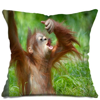 orangutan pillow