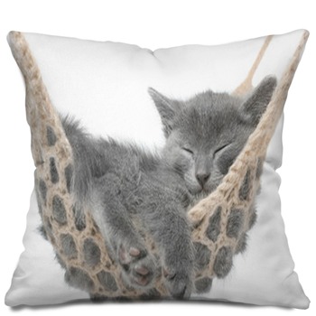 kitten throw pillow