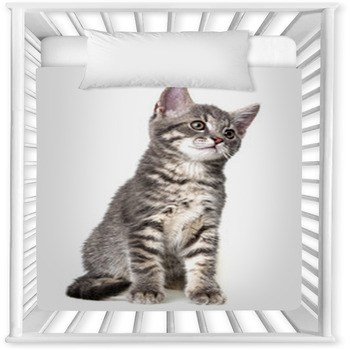 Kitten hotsell crib bedding