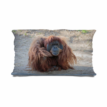 orangutan body pillow