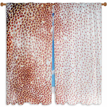 Cuttlefish Custom Size Window Curtain