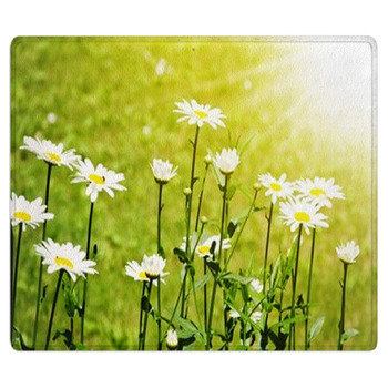 Daisy Field Bath Mat