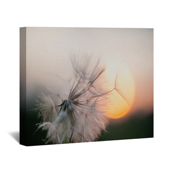 Dandelion Wall Decor in Canvas, Murals, Tapestries, Posters & More