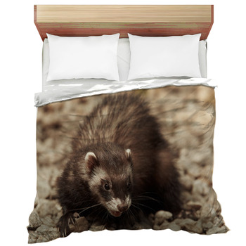 Ferret Comforters, Duvets, Sheets & Sets | Personalized