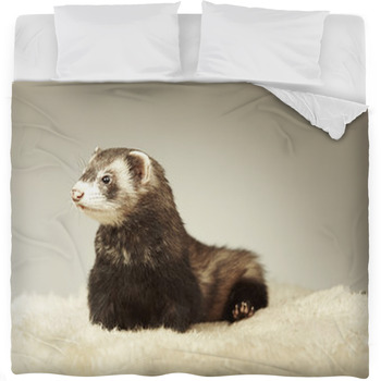 Ferret Comforters, Duvets, Sheets & Sets | Personalized