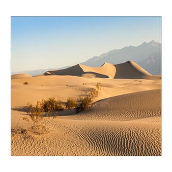 Desert Wall Decor in Canvas, Murals, Tapestries, Posters & More