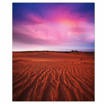 Desert Wall Decor in Canvas, Murals, Tapestries, Posters & More