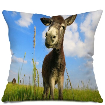 Farm animal Throw Pillows Cases