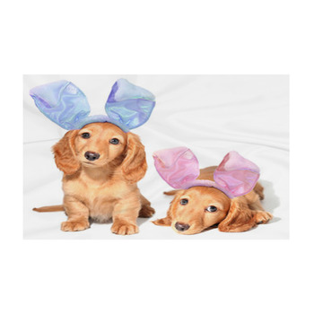 Puppy Custom Size | Available in Super Large Custom Sizes