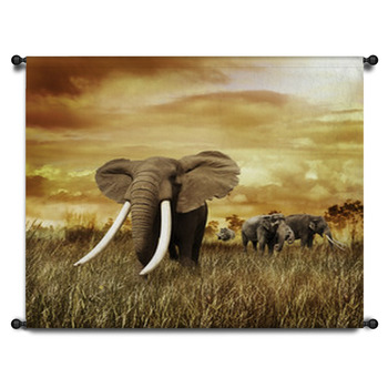 Nature Wall Decor in Canvas, Murals, Tapestries, Posters & More