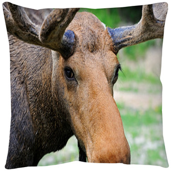 Moose Throw Pillows Shams Pillow Cases