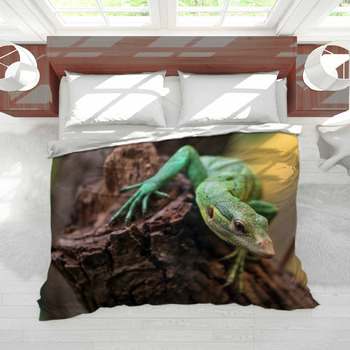 Bedding for fashion iguana