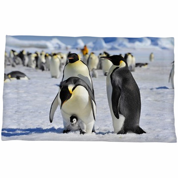 Penguin Comforters, Duvets, Sheets & Sets | Custom