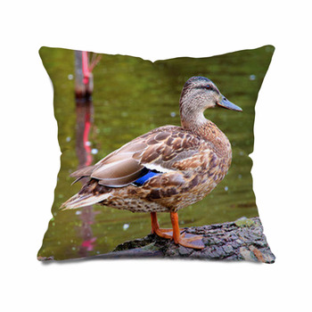 Duck throw shop pillow