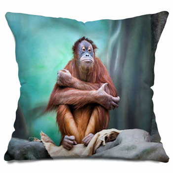 orangutan body pillow