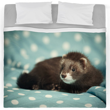 Ferret Comforters, Duvets, Sheets & Sets | Personalized