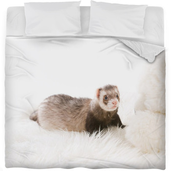 Ferret Comforters, Duvets, Sheets & Sets | Personalized