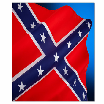 Rebel flag Wall Decor in Canvas, Murals, Tapestries, Posters & More